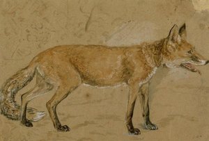 A Fox — John Frederick Lewis