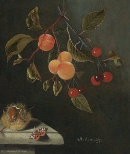 Still Life With A Butterfly, Apricots, Cherries And A Chestnut — Adriaen Coorte