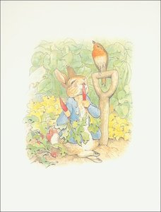 Peter Rabbit 1a - (11x13) — Beatrix Potter