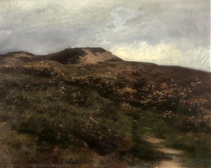 Breton Moorland