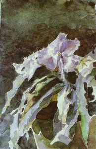 Orchid — Mikhail Vrubel