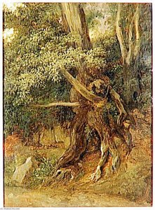 Nemi. Etude De Troncs Et De Racines — Pierre De Valenciennes, Romantic Landscape