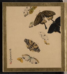 Lacquer Paintings Of Various Subjects: Butterflies — Shibata Zeshin