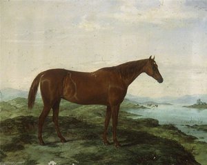 Portrait of Hunter 'Molly Hick'