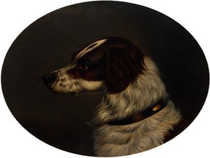 The Head Of A Gundog — Colin Graeme Roe