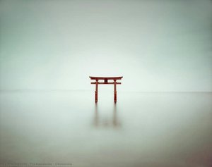 Okinosima — Yoi Kawakubo