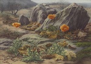 Landscape With Poppies — Peter Blume