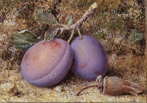 Plums And A Cob Nut — William Hough