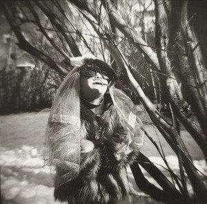 Eleanor's Unwanted Guest In Veil And Glasses — Bruce Horowitz