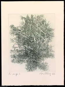 A Universe, State 4, From The Portfolio A Genesis — Gabor Peterdi