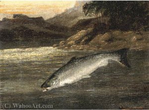 Salmon Rising; And A Netted Perch — A. Roland Knight