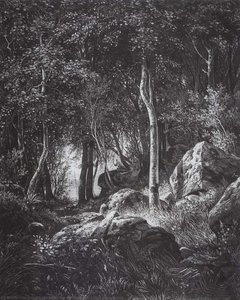 At The Edge Of A Birch Grove. Valaam — Ivan Ivanovich Shishkin, Realism