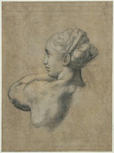 Head Of A Woman — Raphael