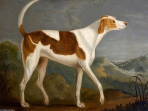 Wonderful — Francis Sartorius Ii (john Francis Sartorius)