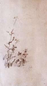 Branch With Flowers — Ovidio Murguía De Castro