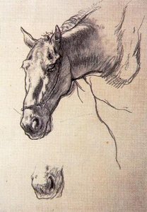 Study Of Horses 1 — José Jiménez Aranda