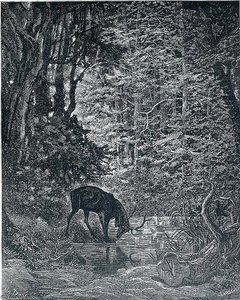 Untitled (8116) — Paul Gustave Doré