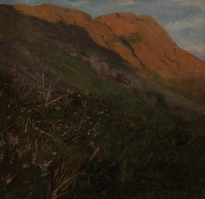 Mountain Landscape with Flowers