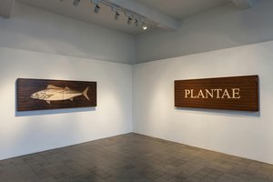 The Persistent Weeds Of Istanbul / Resilient Marine Life Of Istanbul The Persistent Weeds Of Istanbul / Resilient Marine Life Of Istanbul — Mark Dion