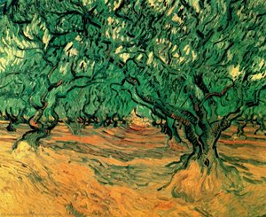 Olive Trees — Vincent Willem Van Gogh