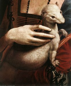 Portrait Of Cecilia Gallerani (detail) — Leonardo Da Vinci