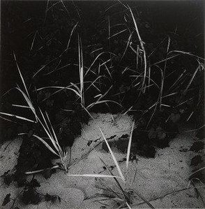 Lake Michigan — Harry Callahan