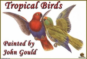 Introduction — John Gould