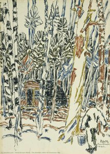 The Alander cabin on Christmas day