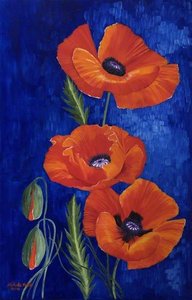 Poppies