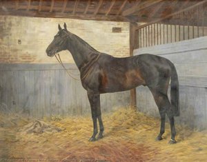 'columcille', A Horse In A Stable — Florence Mabel Hollams