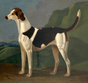 'mischief' — Francis Sartorius Ii (john Francis Sartorius)