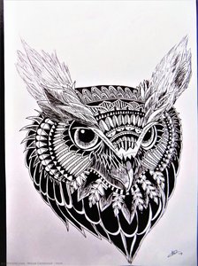 Hoot — Marya Camenzuli