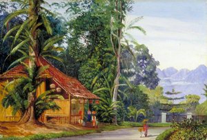 Gardener's Cottage, Buitenzorg Botanic Garden, Java — Marianne North