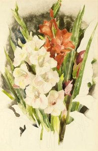 Gladiolus — Charles Demuth