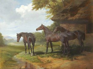 'coronet', 'merryman' And 'dewdrop' — Adrian Jones
