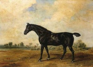 The Black Horse — James Ward