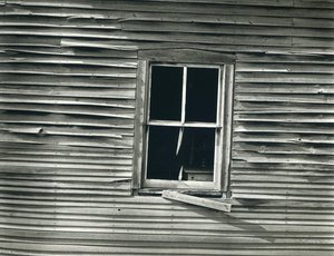 Taylor, Arizona — Frederick Sommer
