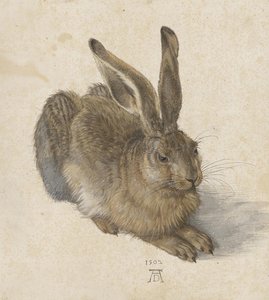 Graphische Sammlung Albertina