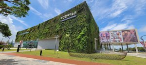 釜山ビエンナーレ