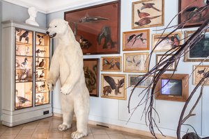 Musee de la Chasse et de la Nature