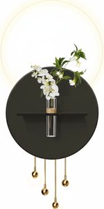 Black Metal Led Circular Wall Shelf – Modern Minimalist Display