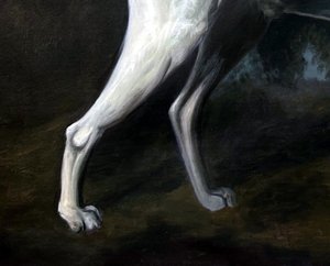 Viscount Gormanston's White Dog - George Stubbs — George Stubbs