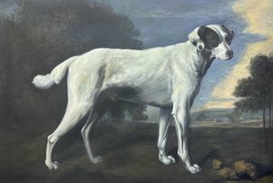 Viscount Gormanston's White Dog - George Stubbs — George Stubbs