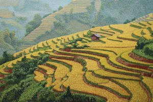 Golden Harmonies: A Rice Terrace Elegy — Jacques Villedieu, Impressionism (the Textured Earth)