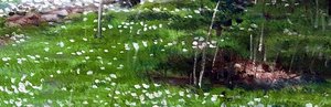 Springtime; The First Anemones - Hans Andersen Brendekilde — Hans Andersen Brendekilde